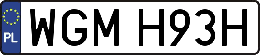 WGMH93H