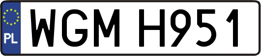WGMH951