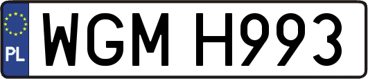 WGMH993