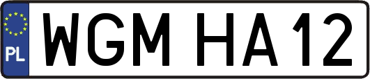 WGMHA12