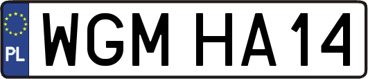 WGMHA14