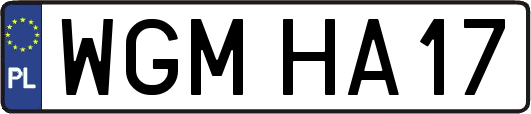 WGMHA17