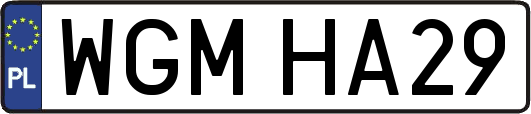 WGMHA29