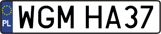 WGMHA37