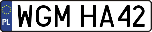 WGMHA42