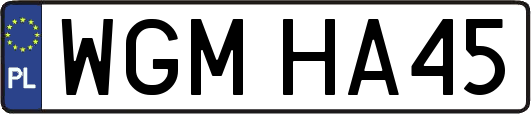WGMHA45