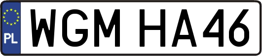 WGMHA46