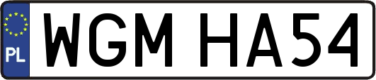 WGMHA54