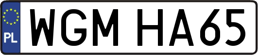 WGMHA65
