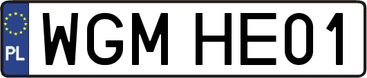 WGMHE01