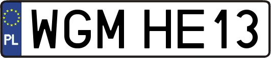 WGMHE13