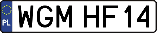 WGMHF14