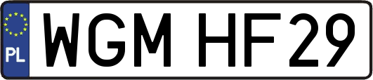 WGMHF29