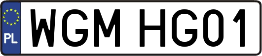 WGMHG01