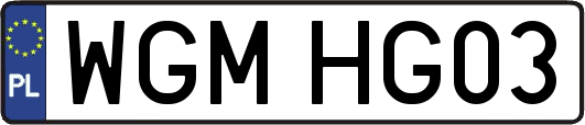 WGMHG03