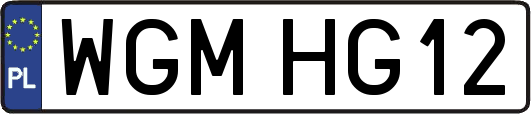 WGMHG12