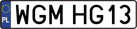 WGMHG13