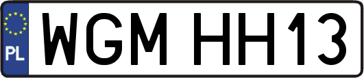 WGMHH13