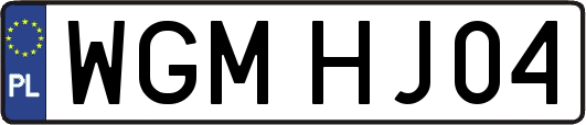WGMHJ04