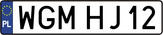 WGMHJ12