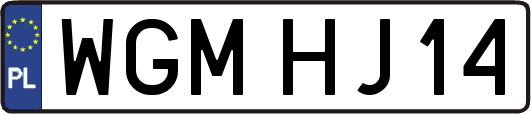 WGMHJ14