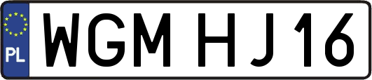 WGMHJ16