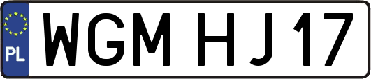 WGMHJ17