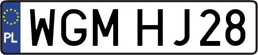 WGMHJ28