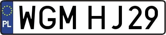 WGMHJ29