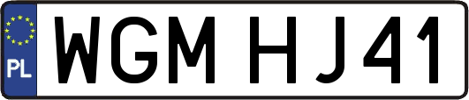 WGMHJ41