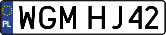 WGMHJ42