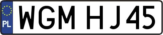 WGMHJ45
