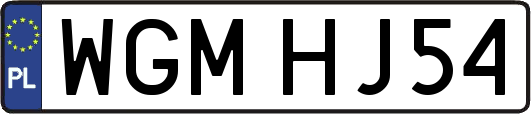 WGMHJ54