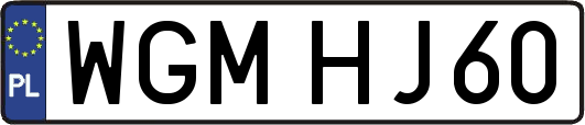 WGMHJ60
