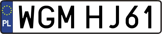 WGMHJ61