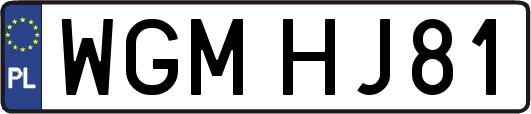 WGMHJ81