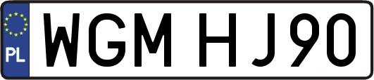 WGMHJ90