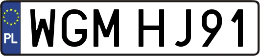 WGMHJ91