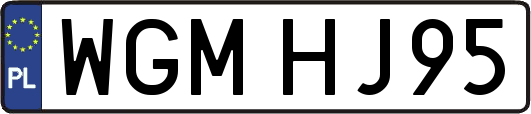 WGMHJ95