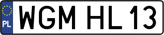 WGMHL13