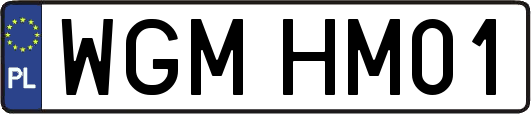 WGMHM01