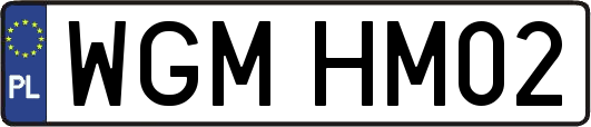 WGMHM02