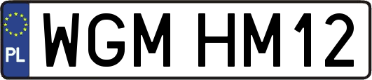 WGMHM12