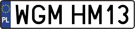 WGMHM13