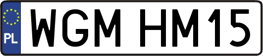 WGMHM15