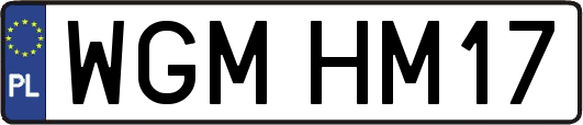 WGMHM17
