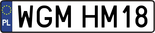 WGMHM18