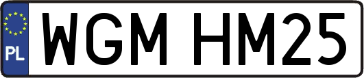 WGMHM25