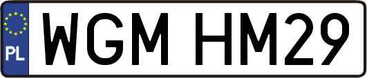 WGMHM29