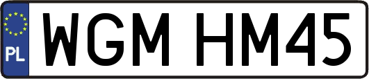WGMHM45